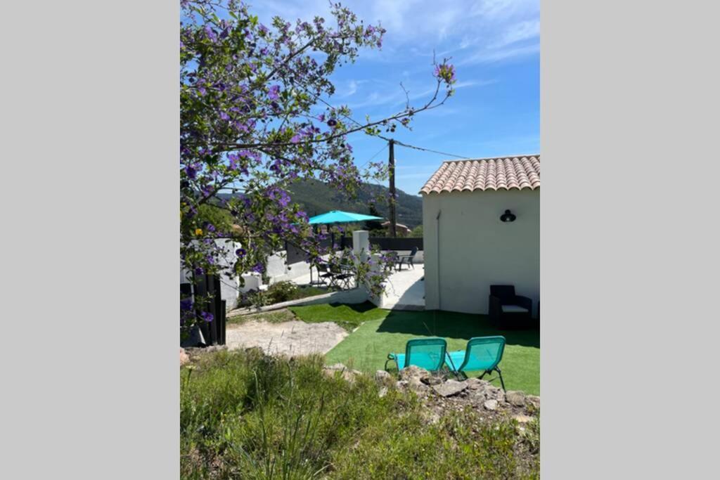 Maison Avec Jardin, Parking Entre Mer Et Montagne Le Revest-le-Eaux Zewnętrze zdjęcie